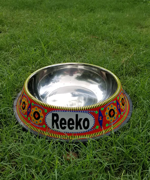 Pet Food Bowl